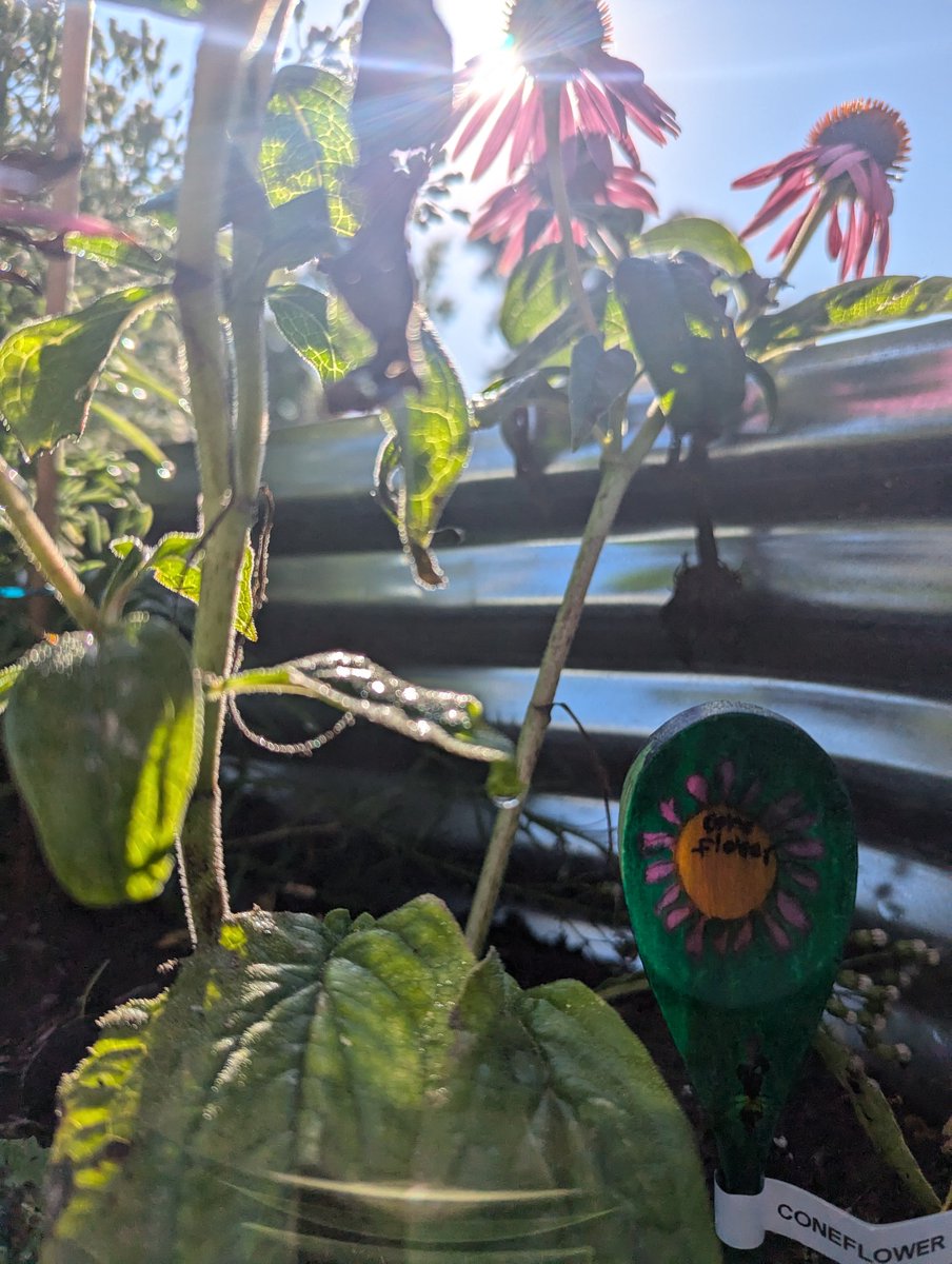 Chris Sands tweet media