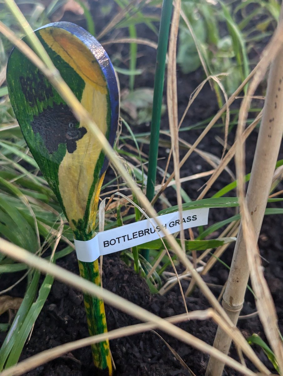 Chris Sands tweet media