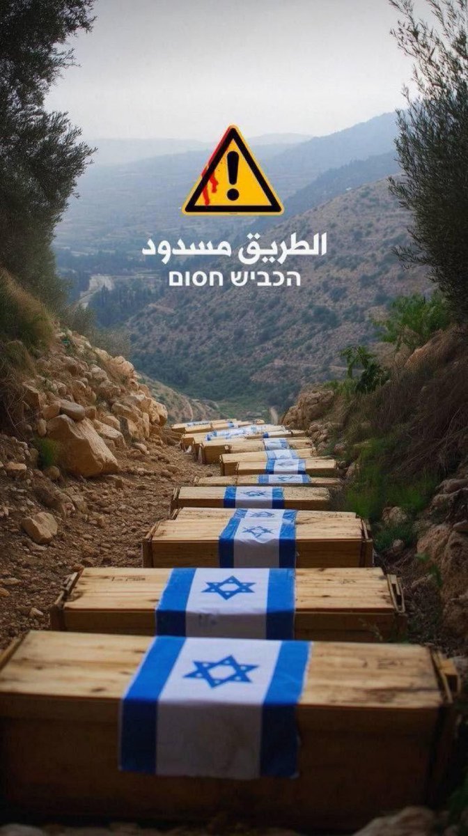 🇾🇪LaythGaza 🇵🇸 tweet media