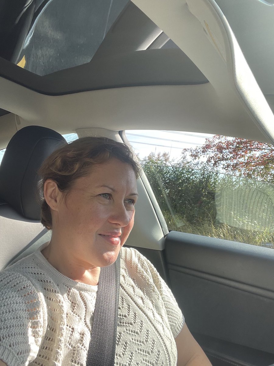 AwayWithLiz's tweet photo. No makeup Friday๐
No time because of X ๐
But itโs okay Iโll be dabbing some lip colour on while I supervise Seven, my Model 3 on the way to work ๐
#NoMakeupFriday
#TeslaFSDSupervised https://t.co/EGWujSZSWQ