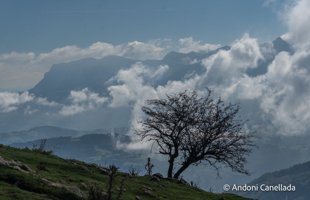 Murumenditik   Aralar