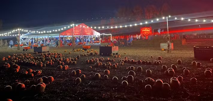 🎃It’s officially Spooky Season!🎃
Have a look at our Halloween Guide for 2024 to see  where you can get your tricks and treats:

dailyinfo.co.uk/blog