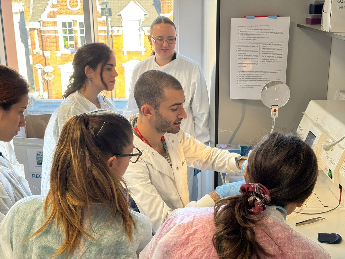 The Roger Williams Institute of Liver Studies (@inst_of_liver) on Twitter photo And last but not least, Modules 6 & 7 - Immunofluorescence Characterisation of Organoids & Imaging and Microscopy!
<a href="/EASLedu/">EASL Education</a> <a href="/EASLnews/">EASLnews</a> <a href="/f4liverresearch/">Foundation for Liver Research</a> <a href="/KCLImmunoMicro/">School of Immunology & Microbial Sciences</a> <a href="/kingsmedicine/">King's Faculty of Life Sciences & Medicine</a> <a href="/ChokshiLab/">Chokshi Lab London</a> <a href="/DrElePalma/">ElePalma</a> <a href="/UrbaniLab/">Urbani Lab</a> <a href="/Mariamaartinezg/">Maria Martínez Gómez</a> <a href="/taniapayos/">Tania</a> <a href="/NHermanSanchez/">Natalia Herman Sánchez</a> <a href="/anand_naomi/">Nilofer Naomi Sayed</a> And last but not least, Modules 6 & 7 - Immunofluorescence Characterisation of Organoids & Imaging and Microscopy!
<a href="/EASLedu/">EASL Education</a> <a href="/EASLnews/">EASLnews</a> <a href="/f4liverresearch/">Foundation for Liver Research</a> <a href="/KCLImmunoMicro/">School of Immunology & Microbial Sciences</a> <a href="/kingsmedicine/">King's Faculty of Life Sciences & Medicine</a> <a href="/ChokshiLab/">Chokshi Lab London</a> <a href="/DrElePalma/">ElePalma</a> <a href="/UrbaniLab/">Urbani Lab</a> <a href="/Mariamaartinezg/">Maria Martínez Gómez</a> <a href="/taniapayos/">Tania</a> <a href="/NHermanSanchez/">Natalia Herman Sánchez</a> <a href="/anand_naomi/">Nilofer Naomi Sayed</a>