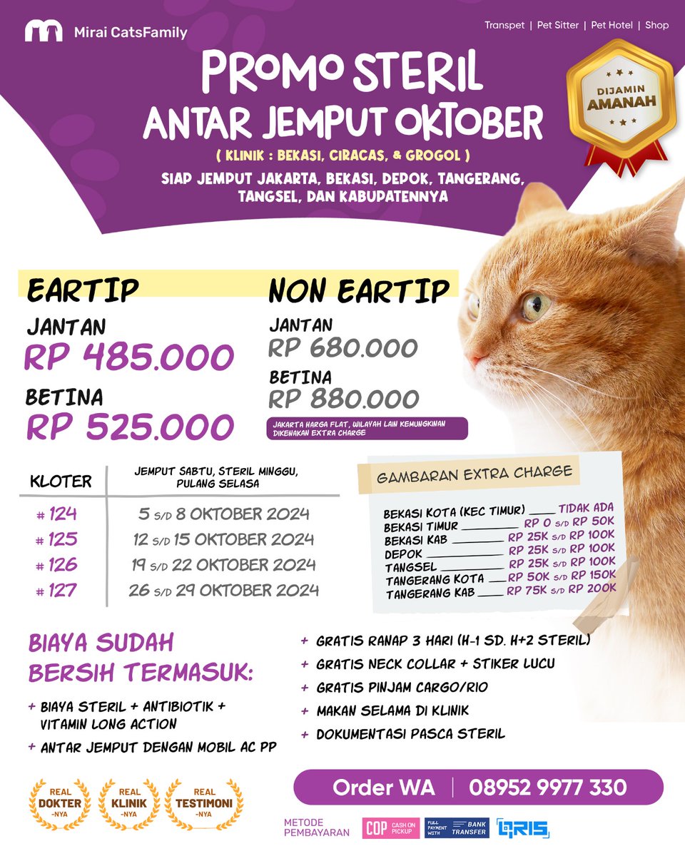 miraicatsfam's tweet photo. 𝗣𝗥𝗢𝗠𝗢 Steril Kucing Antar Jemput
OKTOBER 2024

🏡 Jemput Jadetabek-Tangsel (termasuk kab.)
💳 Full payment/DP/Tokped
‼️ Cash pas jemput

😻 Biaya Steril + Antibiotik + Vitamin
🚗 Antar Jemput Mobil
🆓 Ranap
🆓 Neck Collar
🆓 Pinjam Cargo
🆓 Stiker*

https://t.co/FKsTHi47H5 https://t.co/yjzSQwBNlb