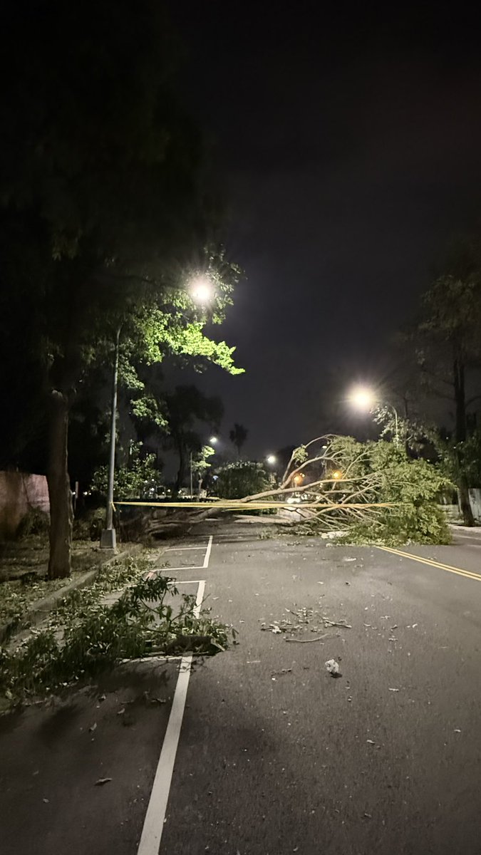 中都野裸場入口處有大樹倒了，
要進來野裸的請注意安全唷！

裡面環境沒有受到颱風影響，
只有入口處要稍微注意就好。

#中都 #野裸 #吹風好舒服