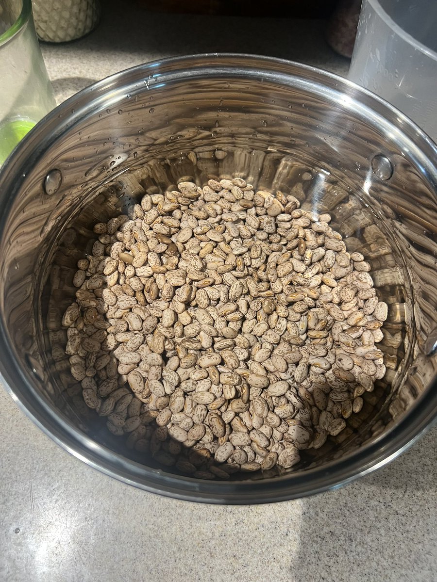 alanPalsz's tweet photo. Me compré frijoles pintos y no negros porque pues match el aesthetic de mi cocina. Oficialmente he enloquecido. https://t.co/GYxivy36Zz