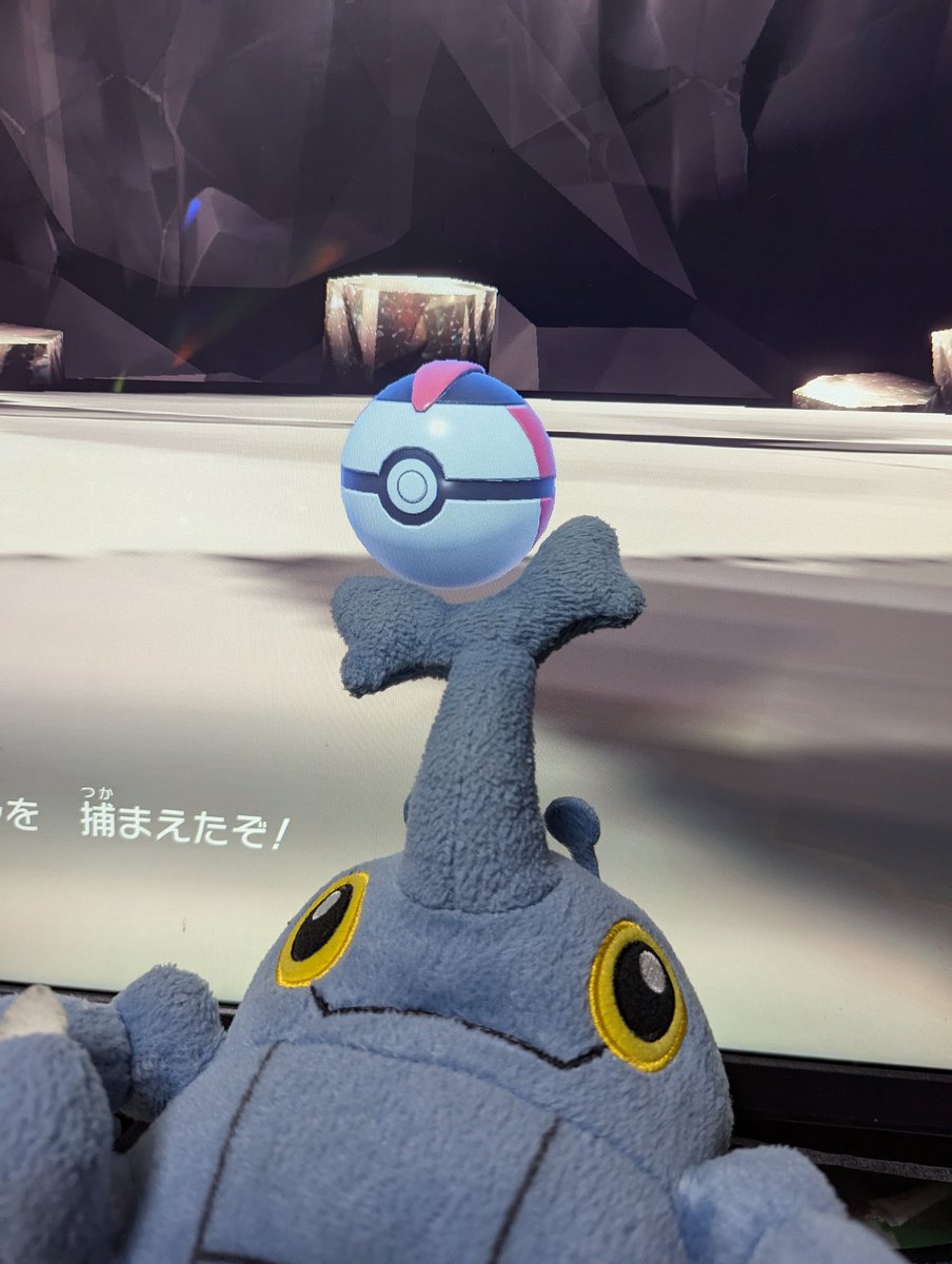 pokedama's tweet photo. \とったどー/ https://t.co/OiwmptiQ08
