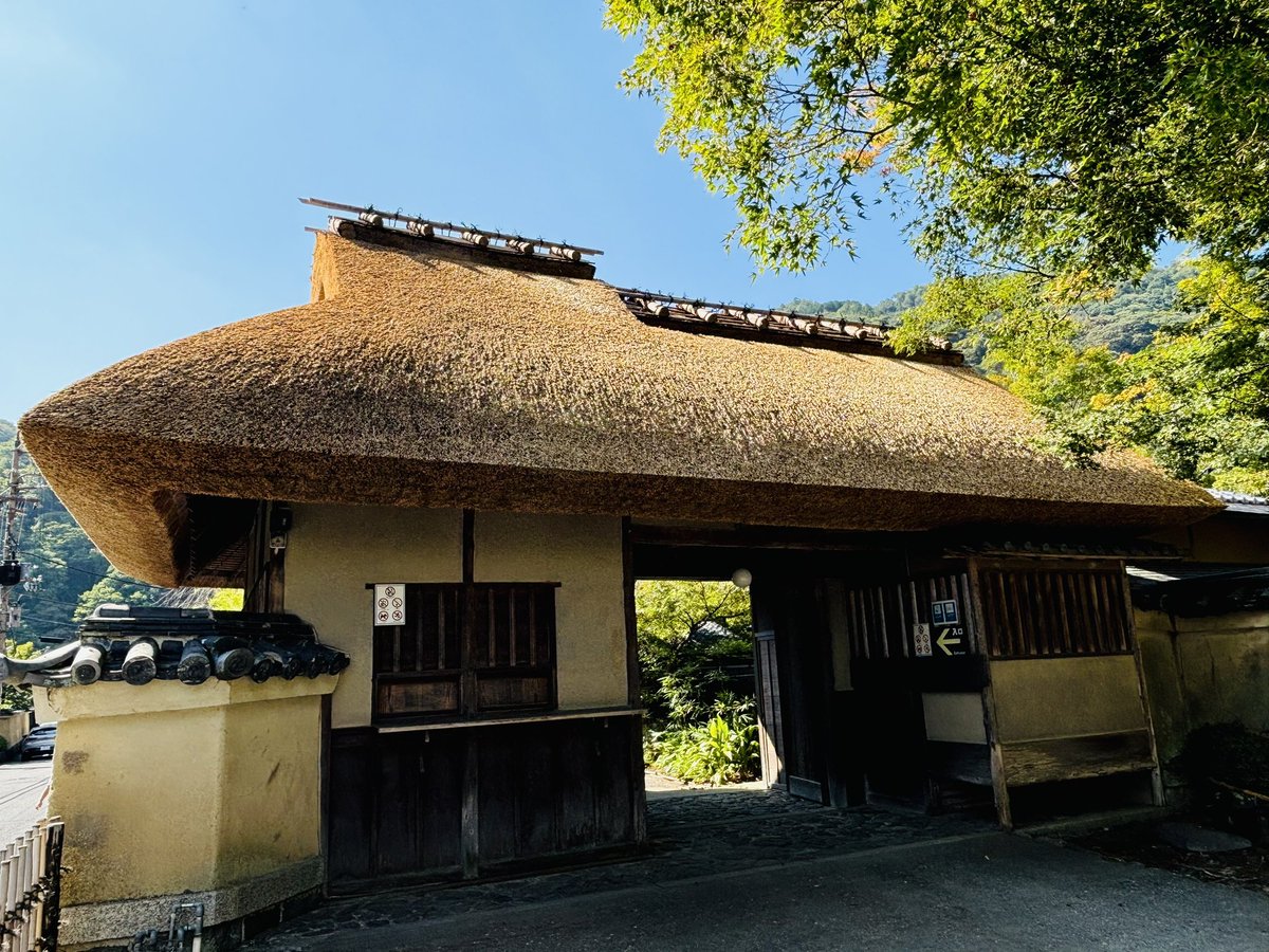 🍁10月5日(土)から秋の特別拝観が始まります🍁

今秋は琵琶湖のヨシを使った山門の葺き替えも完成し、装いを新たに皆様をお迎えいたします！

特別拝観は10月5日(土)から12月8日(日)まで開催します
宝厳院と共に秋の嵐山をお楽しみください！

#嵐山 
#宝厳院 
#秋の特別拝観