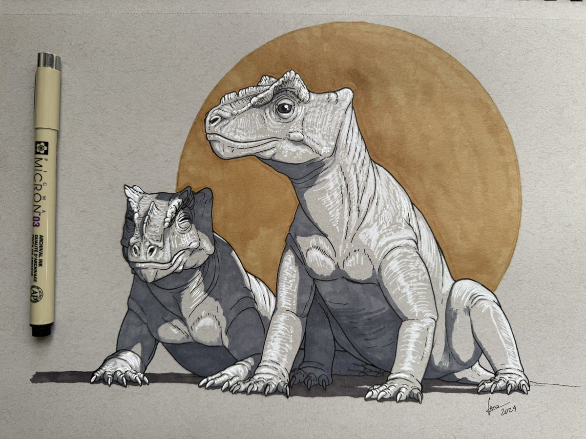 Day 4, a pair of chilling Proburnetia