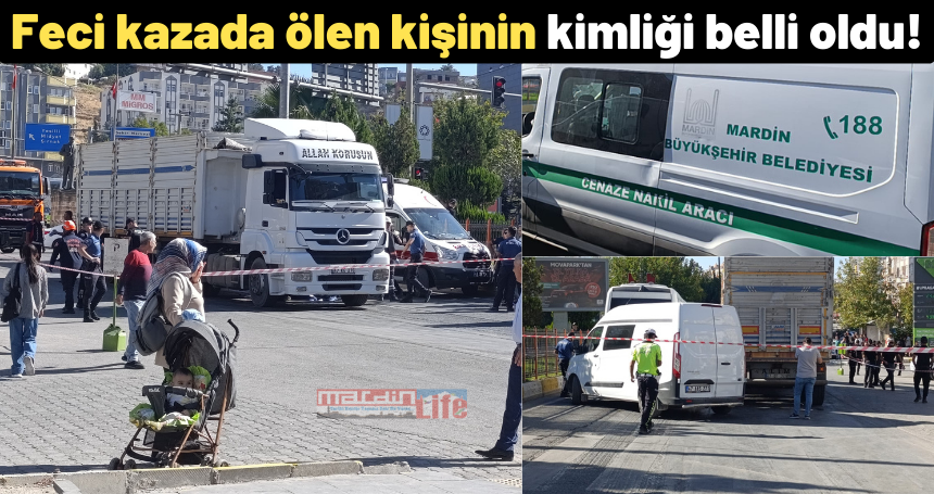 Dobra Haber tweet media
