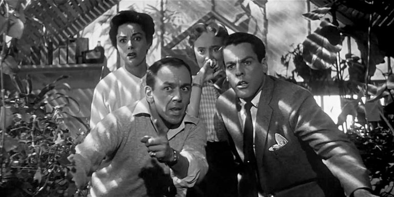 Vintage Film Festival (@vintagefilmfest) on Twitter photo Kick off Halloween week with a sci-fi double feature:
🎞️ Invasion of the Body Snatchers (1956)
🎞️ With Love and a Major Organ (2023)
plus panel discussion and free popcorn! 🍿
📽️ Then & Now, Sun 27 Oct 2024, 1 pm <a href="/CapitolPortHope/">Capitol Theatre</a>
🎟️ capitoltheatre.com/events/then-no…
<a href="/CdnWomenInFilm/">Canadian Women in Film Museum</a> Kick off Halloween week with a sci-fi double feature:
🎞️ Invasion of the Body Snatchers (1956)
🎞️ With Love and a Major Organ (2023)
plus panel discussion and free popcorn! 🍿
📽️ Then & Now, Sun 27 Oct 2024, 1 pm <a href="/CapitolPortHope/">Capitol Theatre</a>
🎟️ capitoltheatre.com/events/then-no…
<a href="/CdnWomenInFilm/">Canadian Women in Film Museum</a>