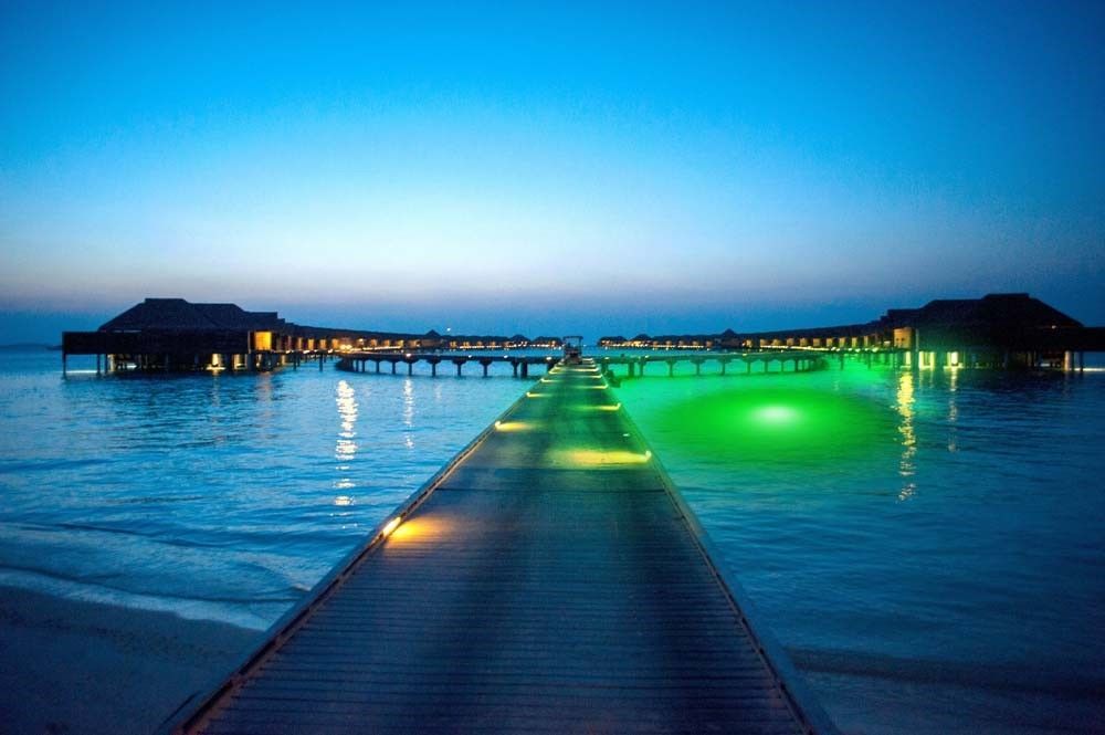 IULLighting's tweet image. Illuminate your dock with green LED underwater lights! Designed for optimal brightness and energy savings. 

#DockUnderwaterLights #EnergyEfficientLED 

buff.ly/3IWbYXy