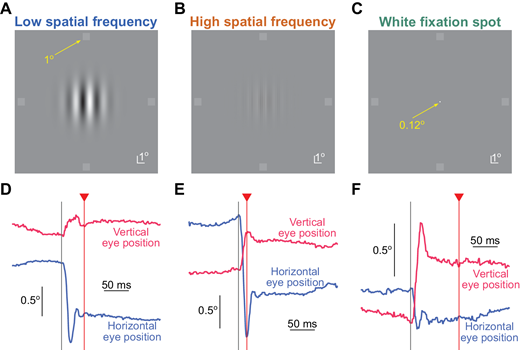 Journal of Vision (@arvojov) on Twitter photo Ziad Hafed et al. <a href="/HafedLab/">Ziad Hafed</a> <a href="/uni_tue/">Universität Tübingen</a> study microsaccadic suppression of peripheral perceptual detection performance as a function of foveated visual image appearance, jov.arvojournals.org/article.aspx?a…. Ziad Hafed et al. <a href="/HafedLab/">Ziad Hafed</a> <a href="/uni_tue/">Universität Tübingen</a> study microsaccadic suppression of peripheral perceptual detection performance as a function of foveated visual image appearance, jov.arvojournals.org/article.aspx?a….