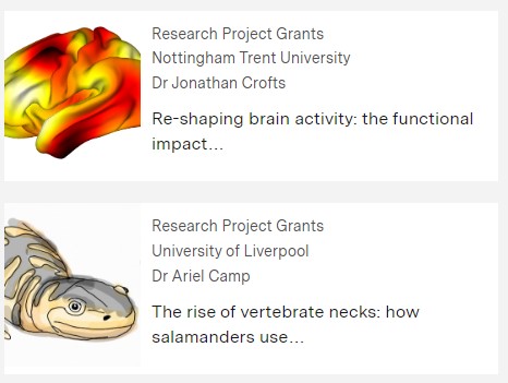 📣ICYMI last week, as well as our September newsletter, there are also grant holders’ accounts of recently funded projects on our website. These two Research Project Grants investigate the functional impact of brain morphology and how salamanders use their spine to eat: