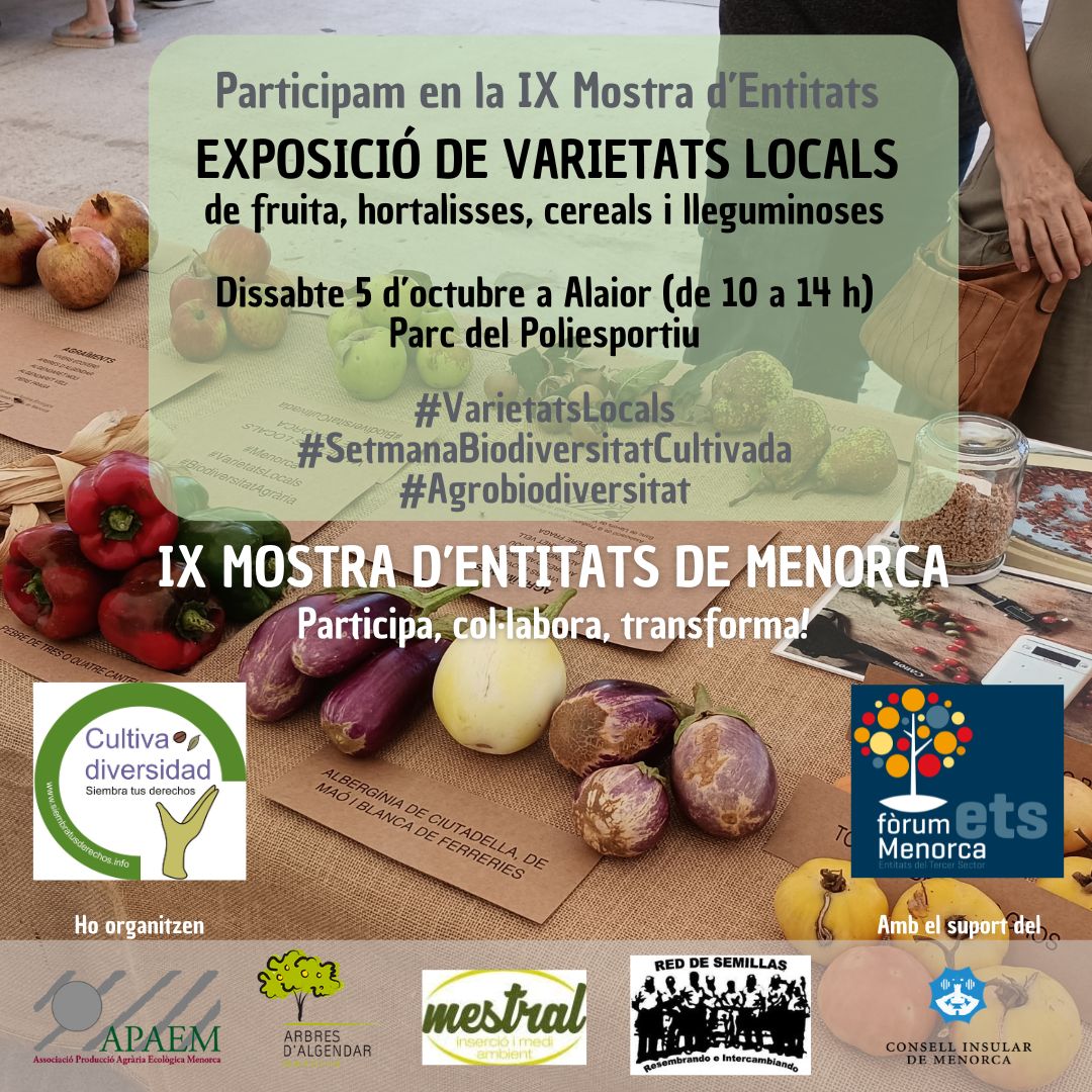 Tenim a punt el replec de #VarietatsLocals per a la IX Mostra d'Entitats de Menorca. L'activitat ha quedat adherida, també, al programa de la #SetmanaBiodiversitatCultivada de #RedDeSemillas.
PS Volem agrair el suport constant de l'<a href="/agroxerxa/">Agroxerxa</a> a la biodiversitat agrària de l'illa!