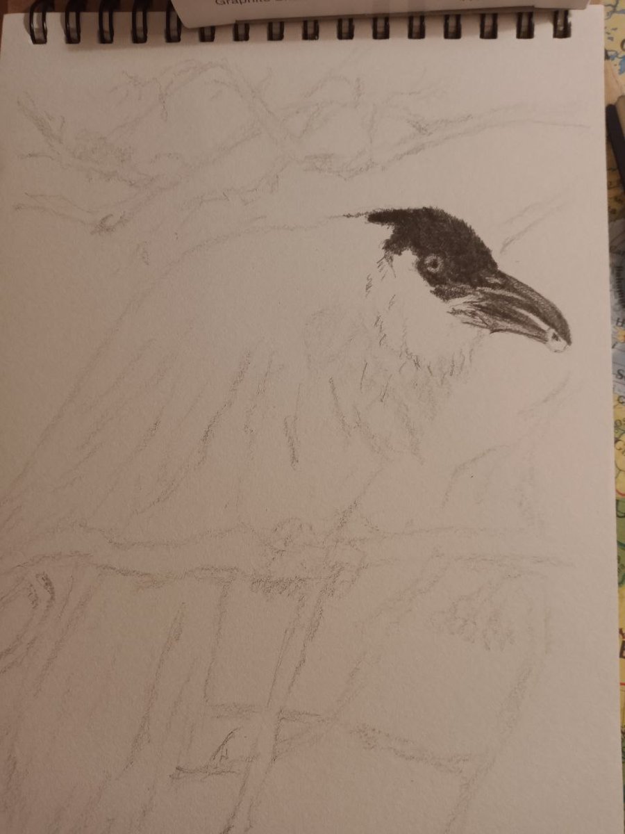 Can't believe my mother is drawing again! Been quite a few years