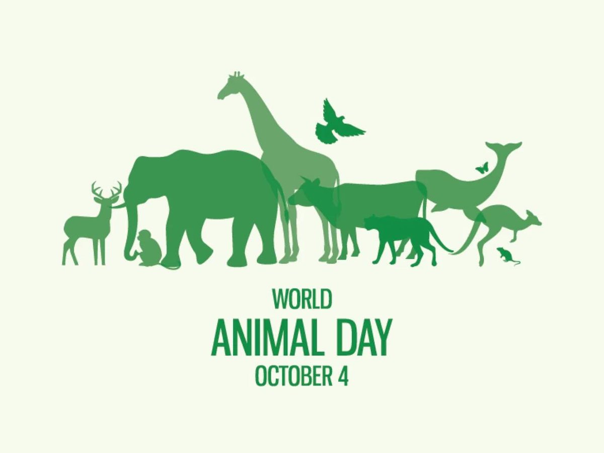 ATSTelemetry's tweet image. Happy World Animal Day! 📷📷
Today, we celebrate the incredible diversity of wildlife that enriches our plant. Let’s continue to protect, preserve, and appreciate all the amazing animals we share our world with.
#worldAnimalDay #protectwildlife #WildlifeConservation