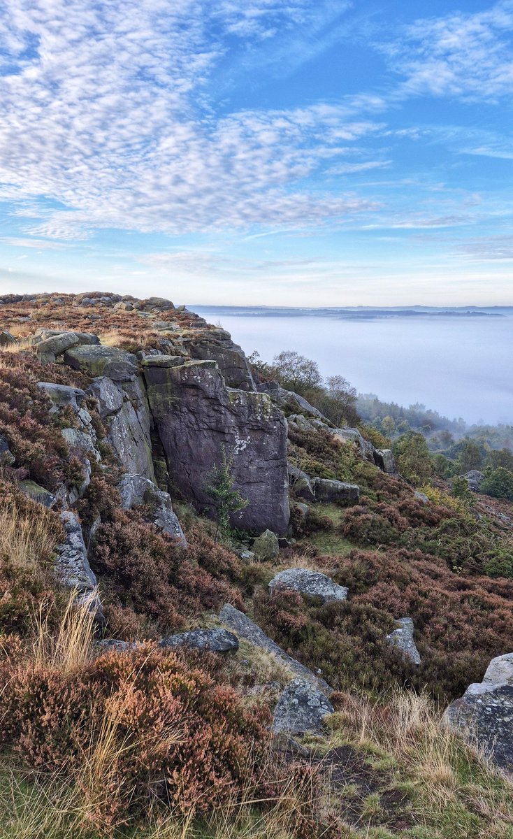 Simon Walkden tweet media