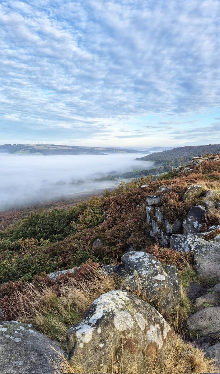 Simon Walkden tweet media