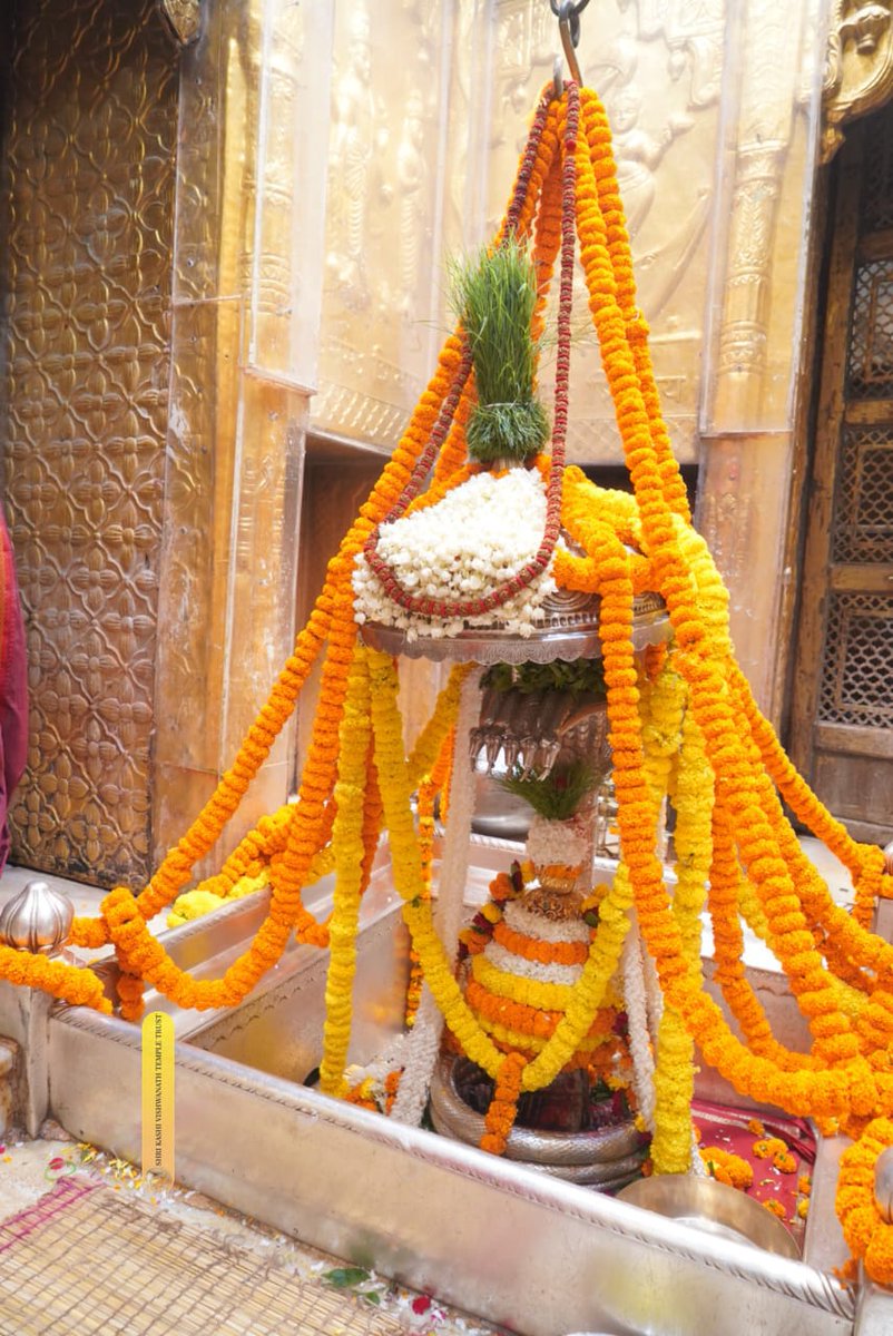 ShriVishwanath's tweet photo. 04.10.2024, बाबा विश्वनाथ के शयन आरती, दर्शन
#kashi #darshan #VishwanathDham https://t.co/4TR6Uk3v46