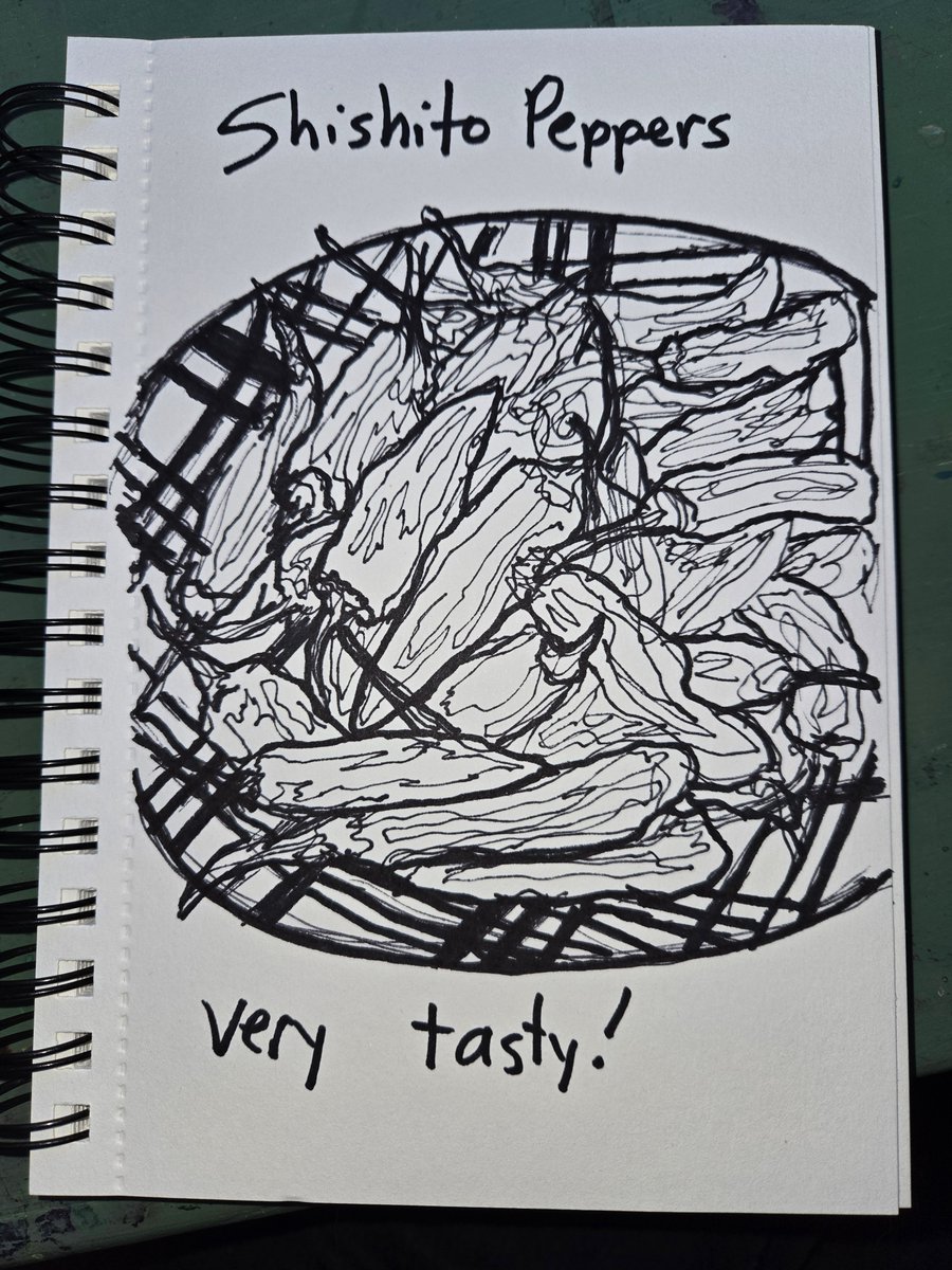 #inktober2024 #inktober prompt: exotic

Most people I tell about shishito peppers have not heard of them. I have never found them in a store. I grow them every year.