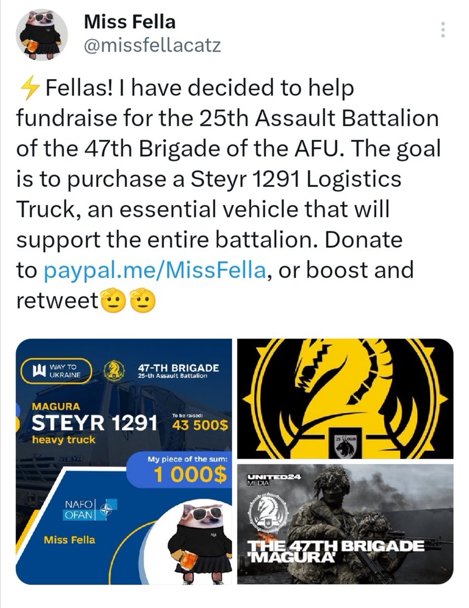 missfellacatz's tweet photo. It's #FiverFriday and I know you have plenty of fundraisers to choose from. But if anyone would like to help closing my part of the fundraiser for a logistics truck for the 25th Assault Battalion of the 47th Brigade, it would be very much appreciated🫡💛💙 https://t.co/FD1xHoVsDy
