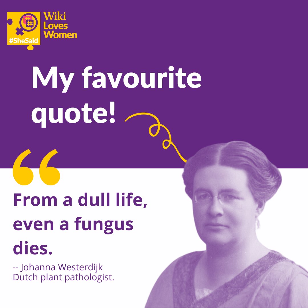 Wiki Loves Women tweet media