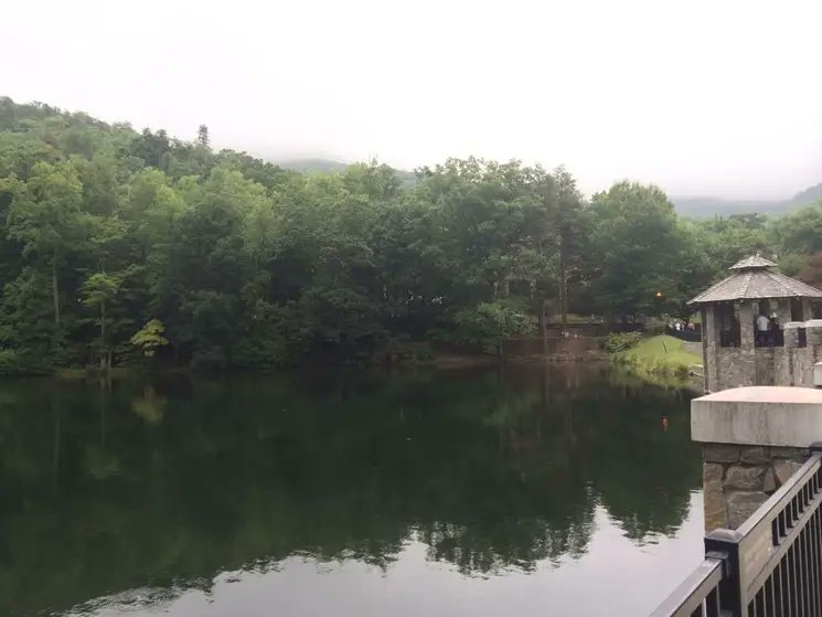 moriahtsharpe's tweet photo. A few weeks ago, I was in Greenville, SC for the annual meeting of the Southern Criminal Justice Association. I loved my time at the conference and in Greenville, and other places in the western Carolinas like Asheville and Black Mountain also hold a special place in my heart. /2 https://t.co/tFbwRtWO4x