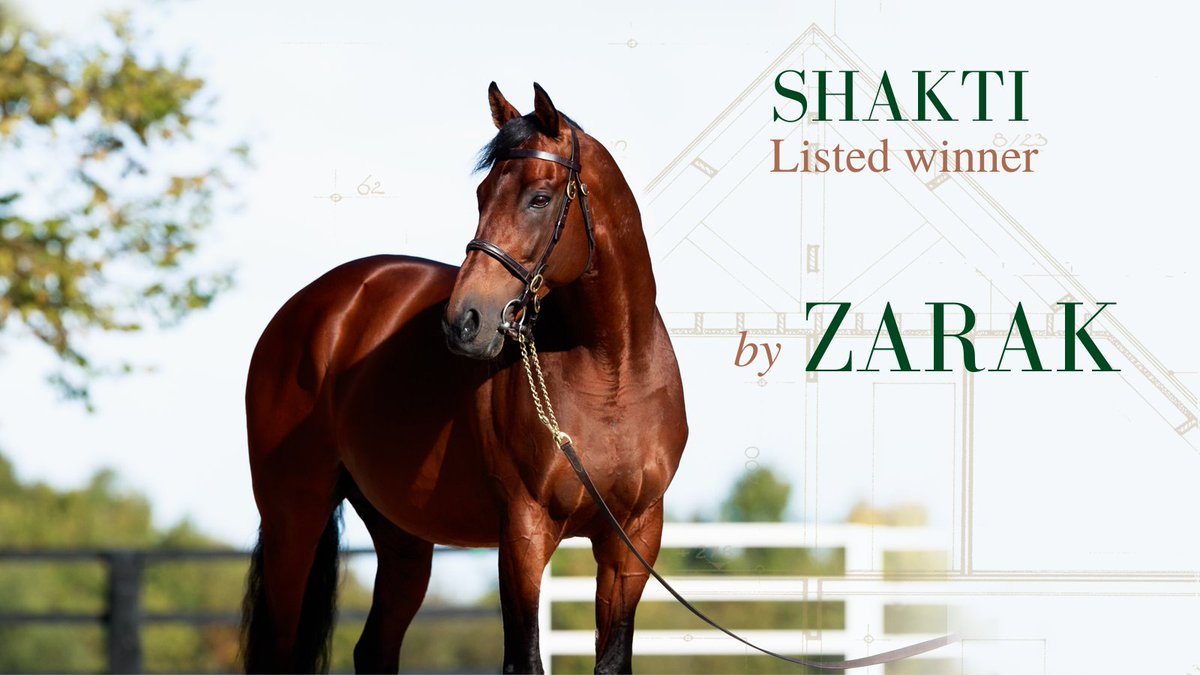 AgaKhanStuds's tweet photo. 🏆 Shakti earns a well deserved first Stakes success in the Listed Prix Scaramouche at St Cloud today. The daughter of #Zarak had consistently placed in the first 5 in all of her 5 outings at Stakes level to date.

👏Congrats to her connections @MathieuBrasme @AugustinMadamet! https://t.co/EVItrhIJmw