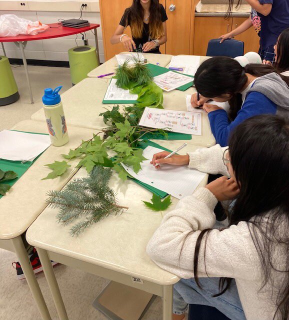 Class 6B bringing the outside IN while learning about Biodiversity!