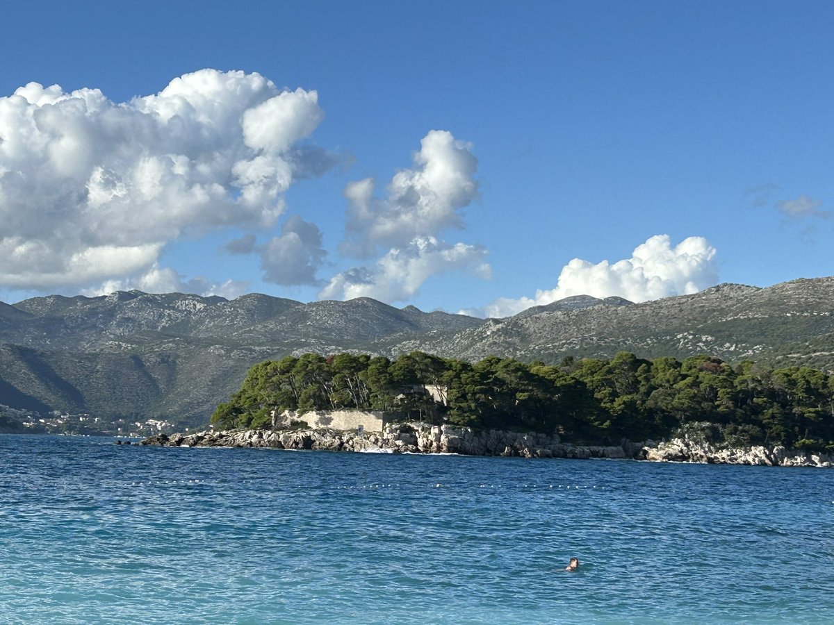 Mandy_Spring's tweet image. And relax!