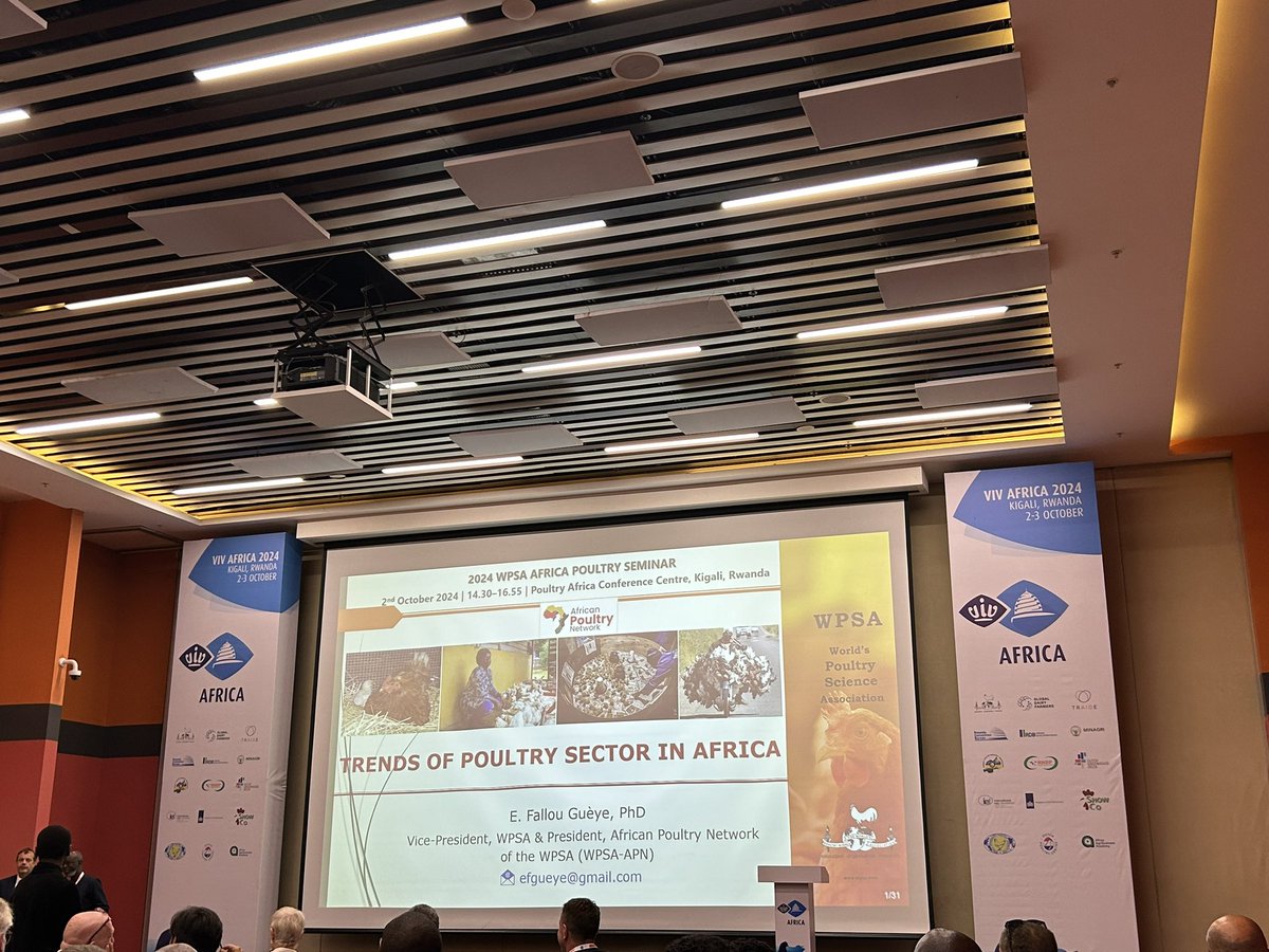 Did you know the #poultry sector in Africa has seen incredible growth over the past decade? FAO predicts by 2030, poultry #meat demand is set to rise by 177% and #egg demand by 151%! 🥚🍗 .  A call to farmers, innovators, stakeholders—to embrace #sustainable practices #VIVAfrica