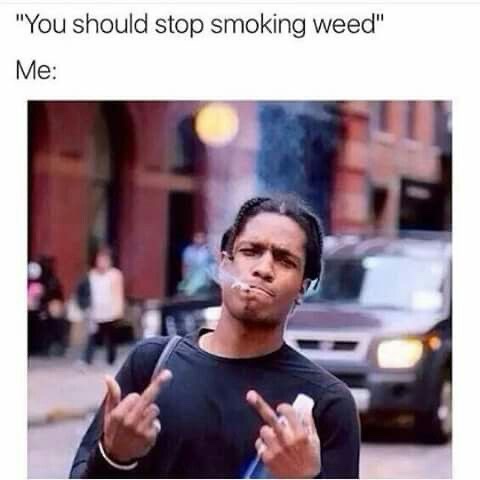 stonersvilla's tweet photo. https://t.co/Ah8S25MoRU