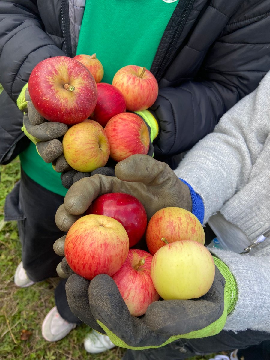 ParliHillSchool's tweet photo. Thank to #GrowingGreen, Claudia helped pupils learn a lot about nature &amp; growing our own fruit &amp; berries. Read more: https://t.co/UZLDOqZxzU 
.
.
@CamdenCouncil @Parli_People @HamandHigh https://t.co/BJSADYAJfW