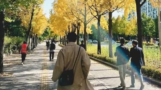 EB0YRM's tweet photo. autumn lover joon🍁🍂 https://t.co/SRV6SVY3jG