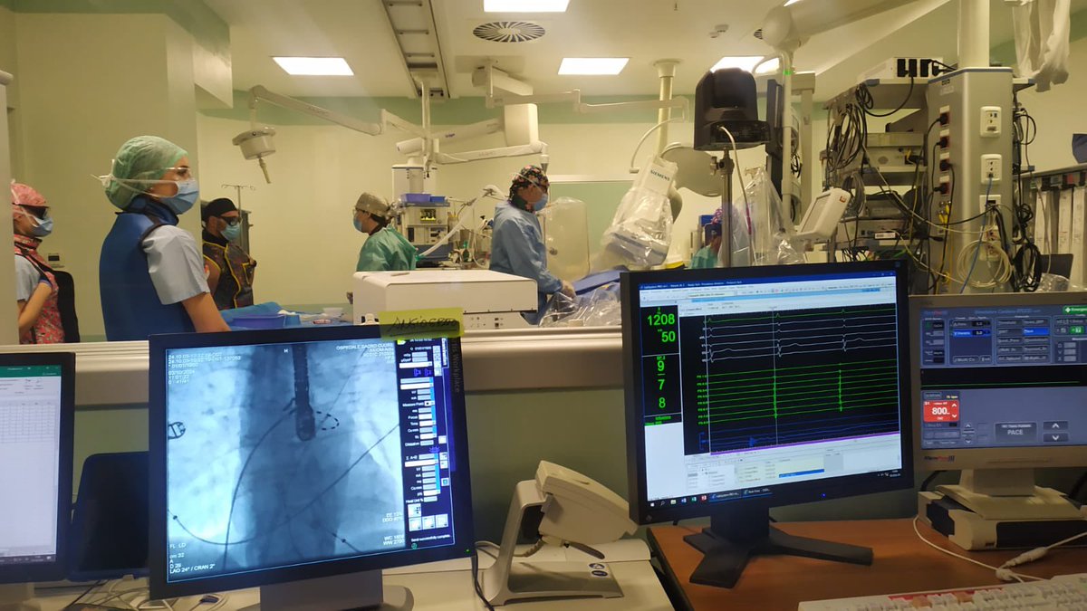 Giulio Molon tweet media