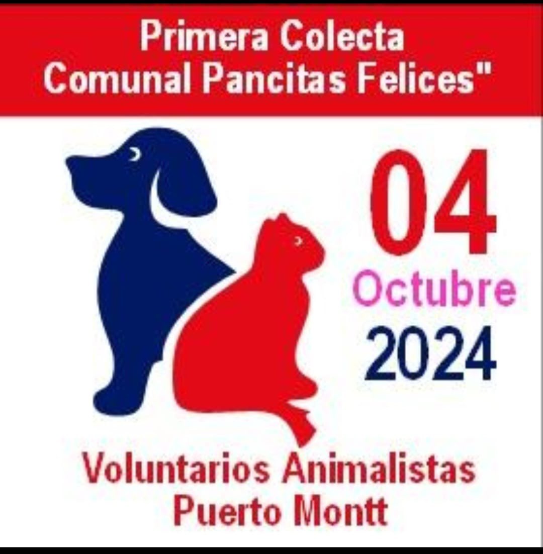 🐶🐈 Hoy Viernes

✔️Agrupaciones animalistas y rescatistas independientes unidos en la Primera colecta comunal Pancitas felices, 😍que se desplegarán en el sector centro. 

#puertomontt