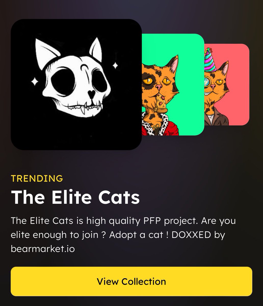 The Elite Cats tweet media