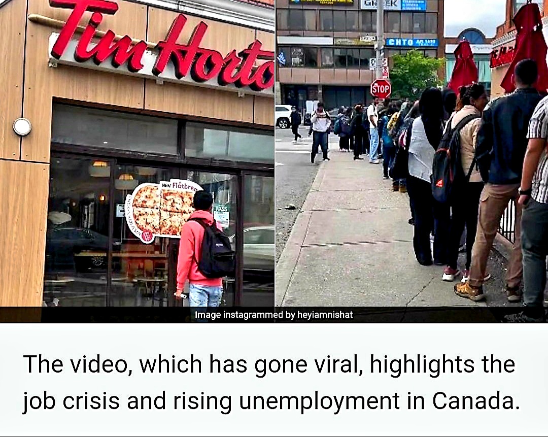 🇨🇦Andrea-Freedom-Gal™🇨🇦 tweet media