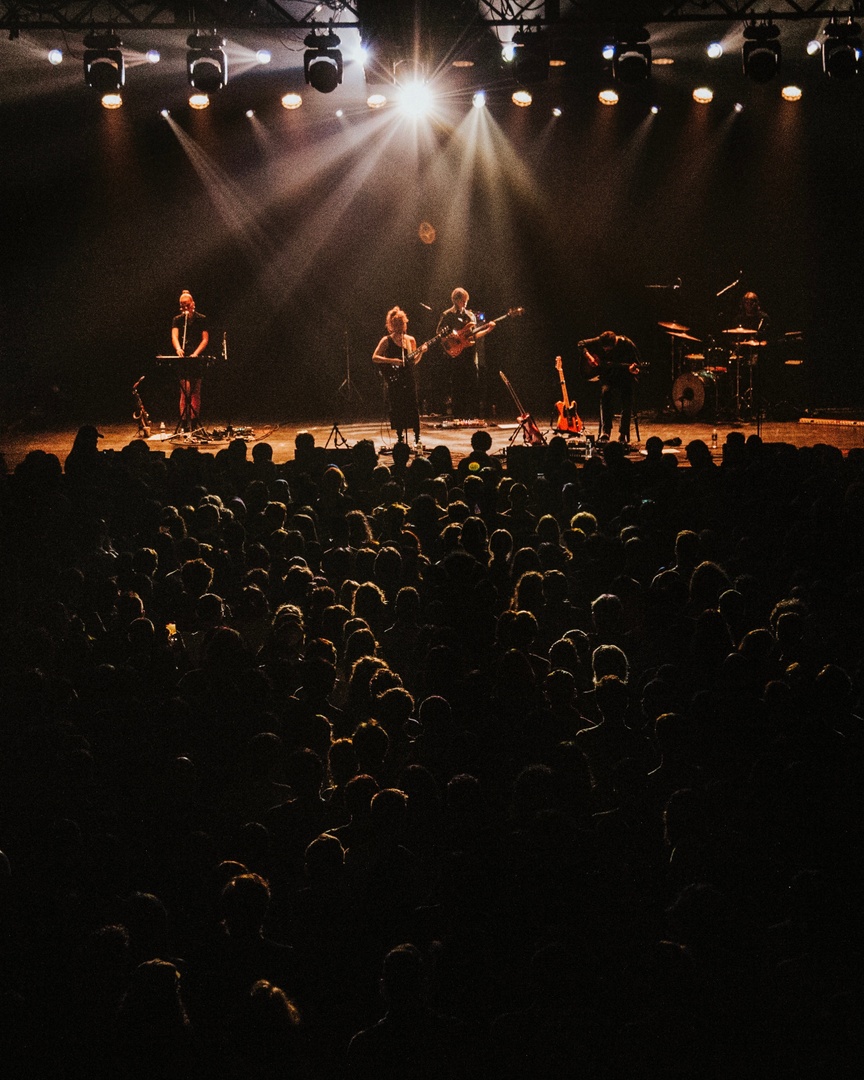 Hallucinogenic Honey tweet media