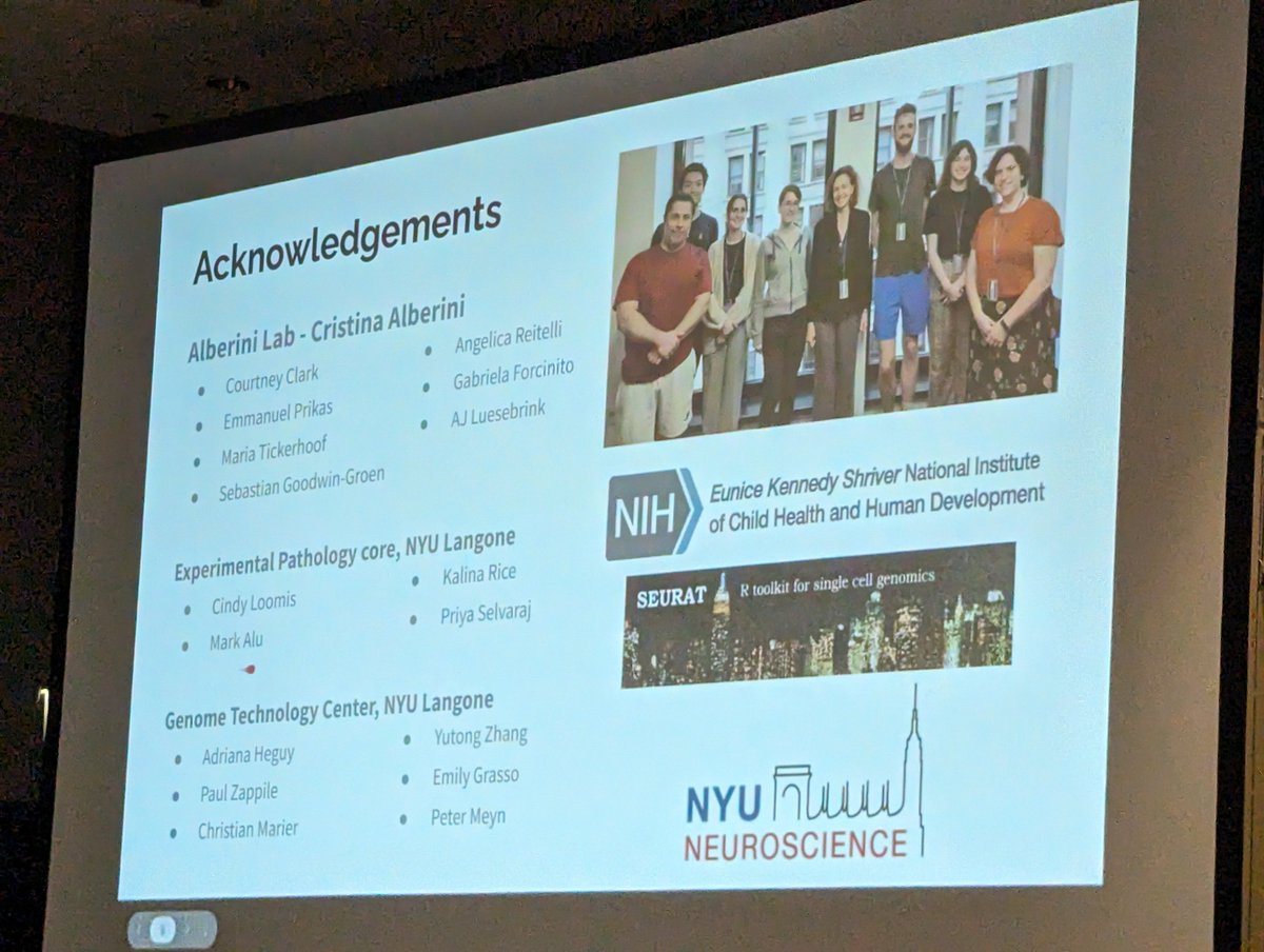 MCCStweets's tweet image. Also on early development Jessica Gaunt from the Alberini Lab at @nyuniversity, using spatial transcriptomics to profile hippocampal maturation.