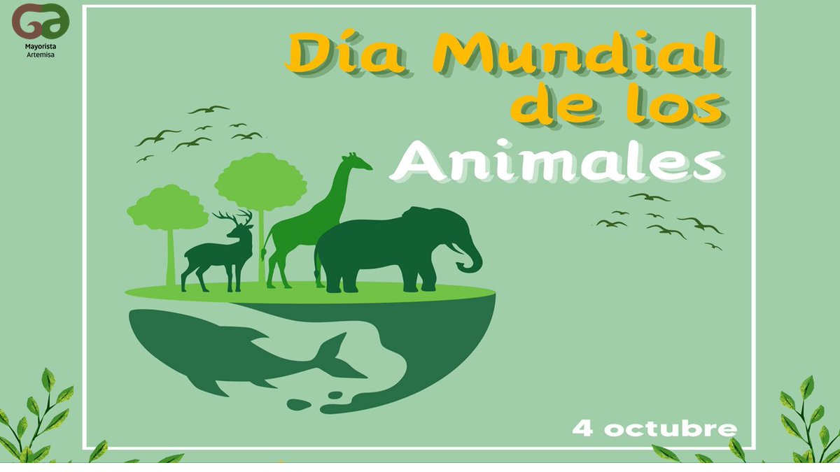4 de octubre: Día Mundial de los animales #ArtemisaJuntosSomosMás #MayoristaArtemisa
<a href="/GrupoAlimentos/">Grupo de Alimentos</a>
<a href="/BetsyDazVelzqu2/">Betsy Díaz Velázquez</a>
<a href="/GladysArtemisa/">Gladys Martínez Verdecia</a>
<a href="/RicardoArtemisa/">Ricardo Concepción Rodríguez</a>
<a href="/Yuri2024072/">Yuri Belén Ramírez</a>
<a href="/ELeyva63647/">Viceintendente SAB</a>
<a href="/ComCAMSAB/">Jefe comunicadores SAB</a>
<a href="/ComunicadoraArt/">Comunicadora CAM</a>
