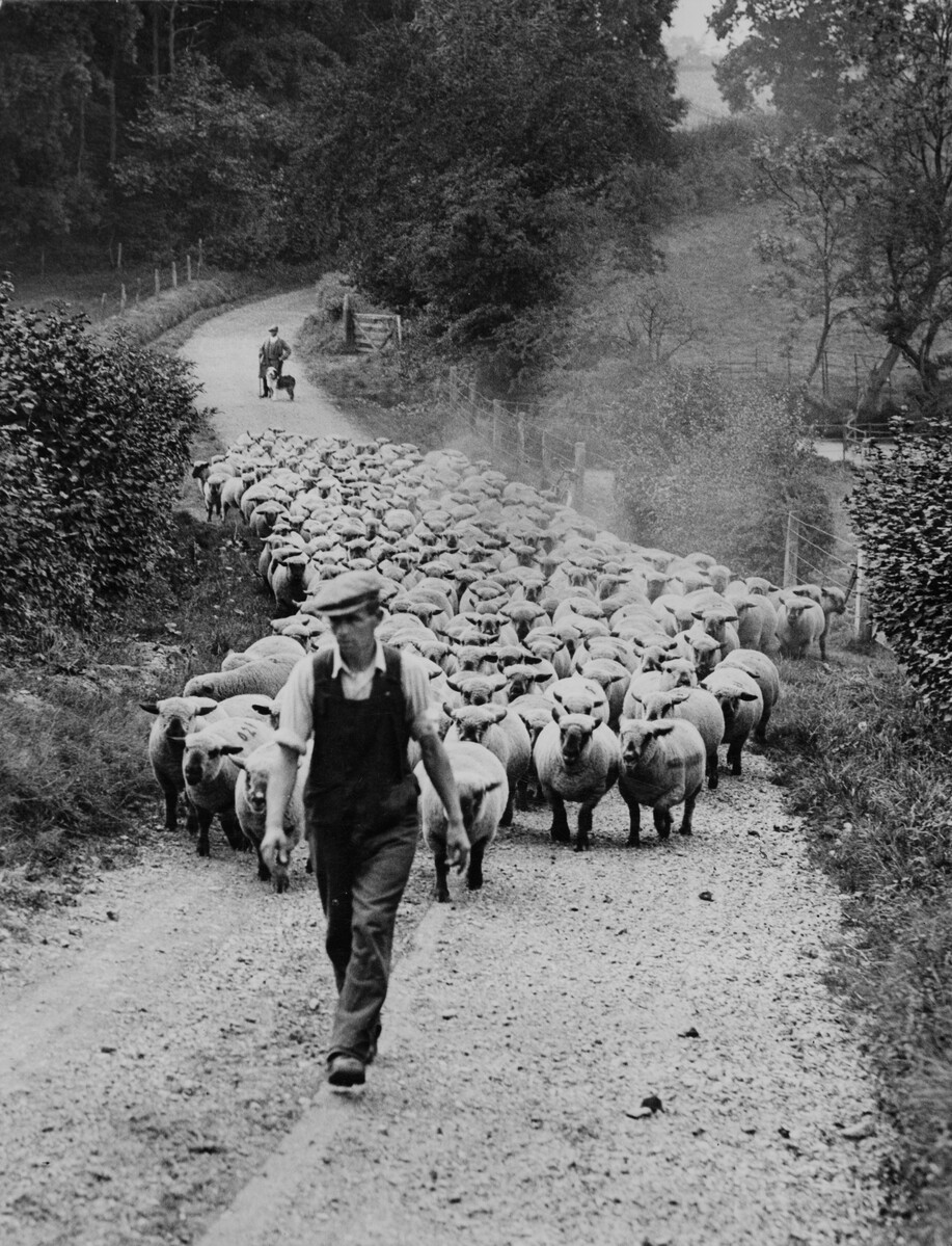 The Museum of English Rural Life tweet media