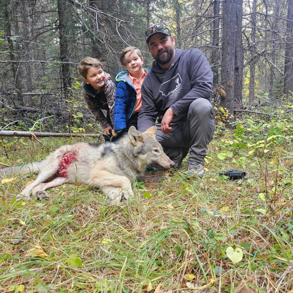 Cody Walter (Montana) indoctrinating his kids in fun killing. The next generation of annihilators have arrived. What a poor shot Walter is. This young wolf suffered an extremely painful death. 🤬RT
#BanTrophyHunting 
<a href="/SARA2001NOOR/">Sara✌️💙🍉peaceFOReveryone</a> <a href="/Angelux1111/">Angel</a> <a href="/Gail7175/">WatchDominion.com Ⓥ</a> <a href="/Lin11W/">🌱🌹❤️ Anonymous for the voiceless ❤️🌹🌱</a> <a href="/Protect_Wldlife/">PROTECT ALL WILDLIFE</a>