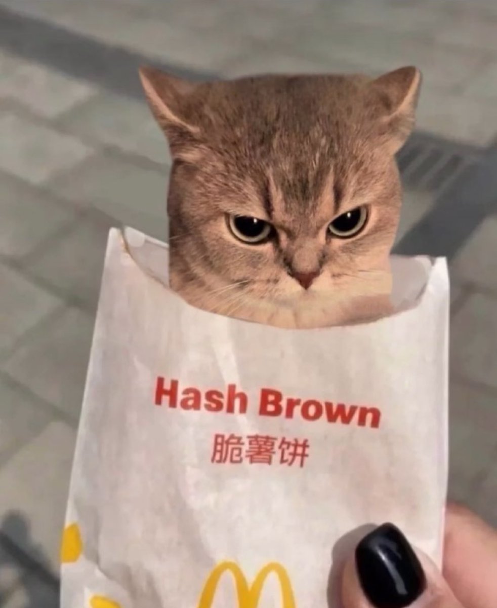 Punch Cat (@punchingcat) on Twitter photo 