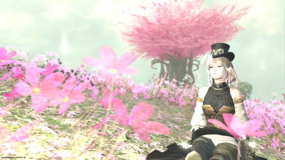 風景美しすぎやしませんか🥹✨️