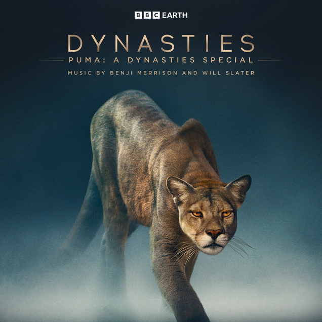 Benji Merrison (@benjimerrison) on Twitter photo Release Day! 👏 👏 👏
Our soundtrack for the David Attenborough BBC film 'Puma: A Dynasties Special' is out today <a href="/SilvaScreen/">Silva Screen Records</a>
Proud of this one - Check it out here: open.spotify.com/album/0cheBYnQ… Release Day! 👏 👏 👏
Our soundtrack for the David Attenborough BBC film 'Puma: A Dynasties Special' is out today <a href="/SilvaScreen/">Silva Screen Records</a>
Proud of this one - Check it out here: open.spotify.com/album/0cheBYnQ…