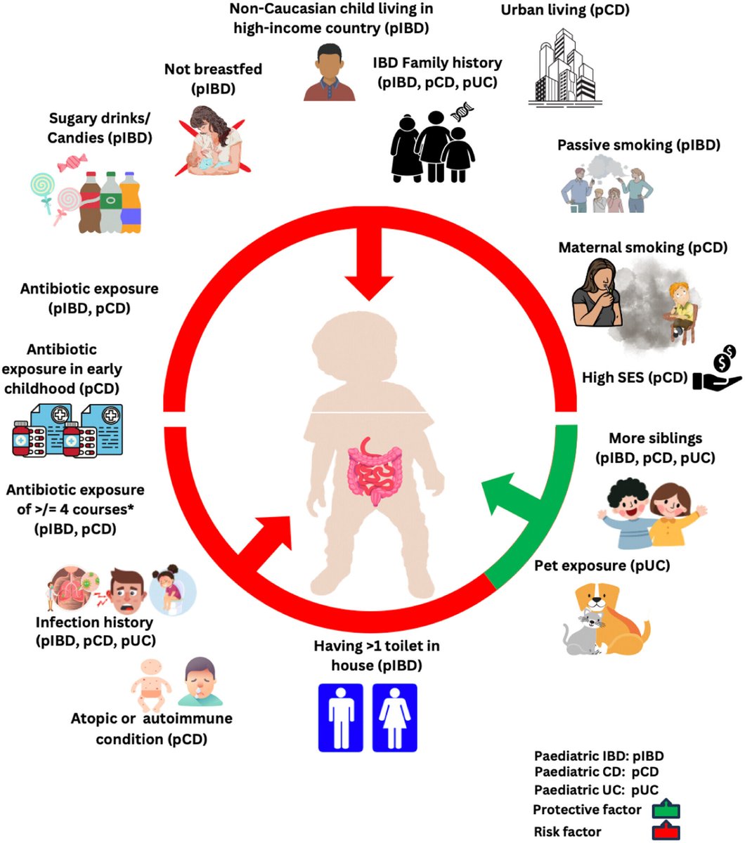 JPGNonline's tweet photo. 🔬🧒 Antibiotics, passive smoking, high SES, sugary foods, and urban living raise pediatric #IBD risk. 

Pet exposure &amp; more siblings lower the risk. Early screening could aid prevention! #Pediatrics

@NishaThacker6 @Kerith_D @EmilyHoedt @ProfCCollins 

https://t.co/GUC4CF3GlX https://t.co/kxiUD0OnPG