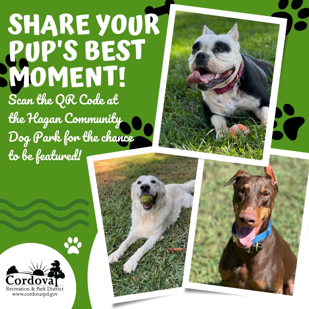 CordovaRPD's tweet photo. Did you know you can scan the QR code on the back of the gate at the Hagan Community Dog Park for a chance to have your pup featured on our social media pages?

We know your dogs are picture paw-fect, so give the code a scan next time you enjoy some playtime at Hagan! 🐾 https://t.co/7JNFryxz9c
