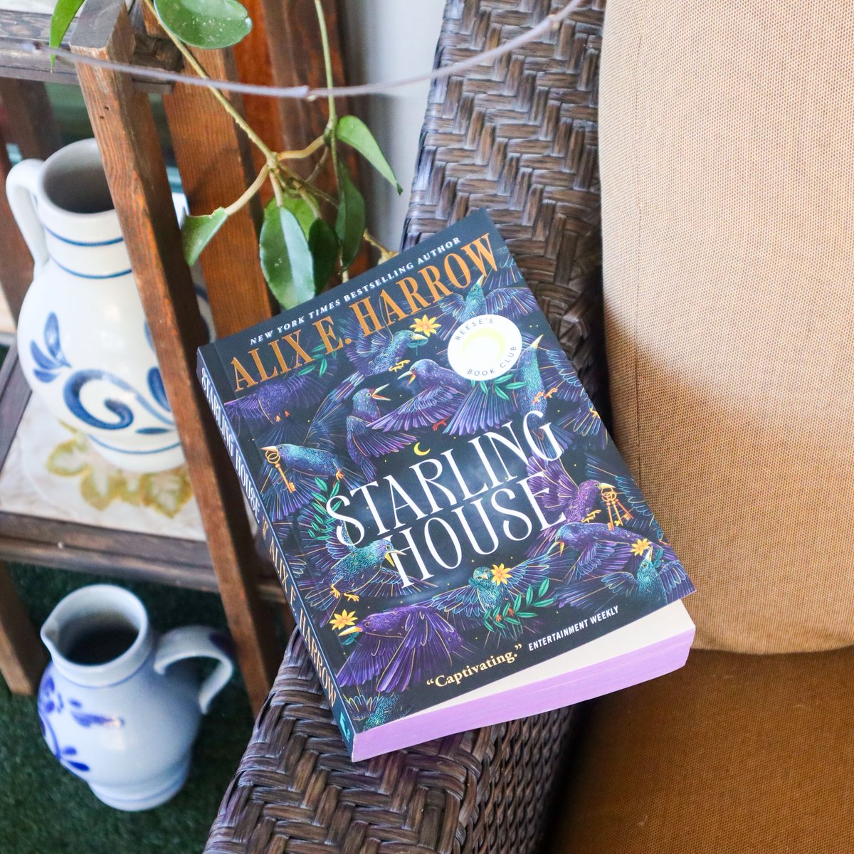 torbooks's tweet image. Who's ready for a #sweepstakes?! Today, we're giving YOU the chance to win a paperback copy of #StarlingHouse by Alix E. Harrow! 

Follow, like, and repost to enter! Good luck!

#StarlingHouseSweeps